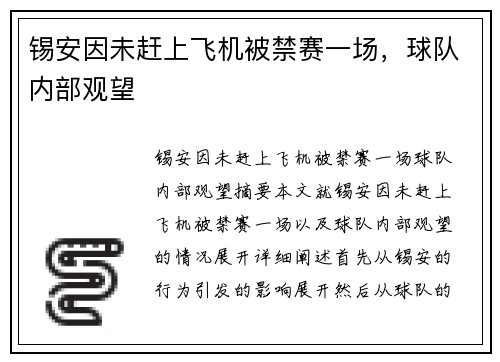 锡安因未赶上飞机被禁赛一场，球队内部观望